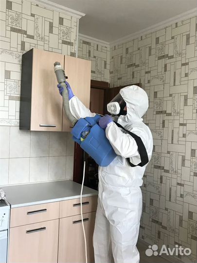 Уничтожение клопов тараканов блох муравьев крыс