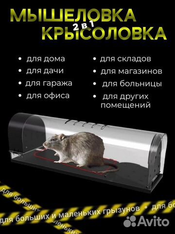 Ловушка для мышей объявление продам