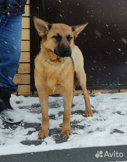 Подарите нашему мальчугану дом