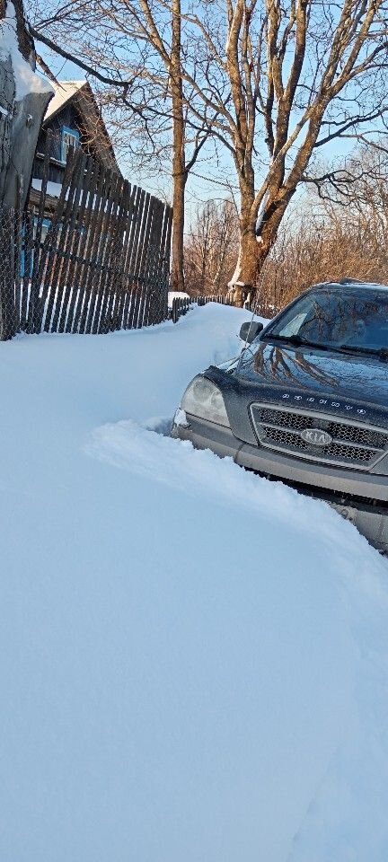 Kia Sorento: фото владельца