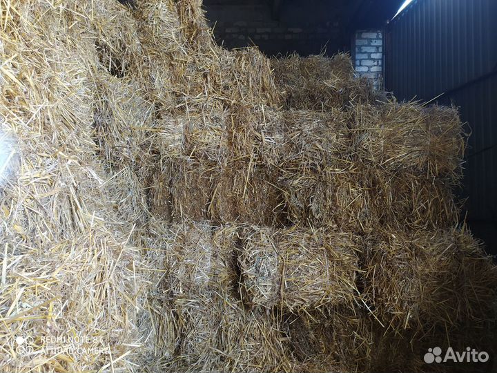 Сено и солома