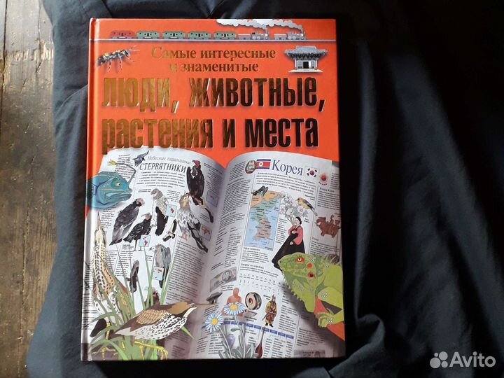 Самые интересные и знаменитые