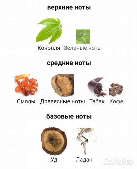 Nasomatto black Afgano