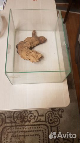 Террариум для черепахи