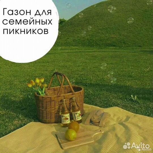 Изумрудный рулонный газон для вас в Можайск