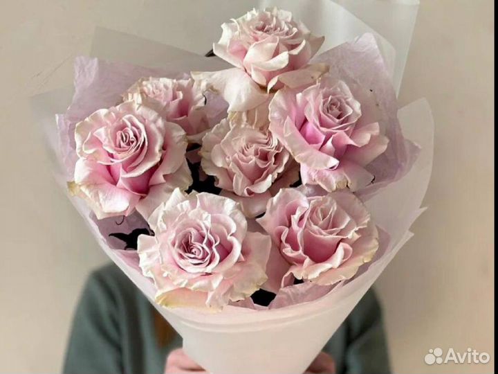 Роза Французкая Огромный Бутон Доставка 24