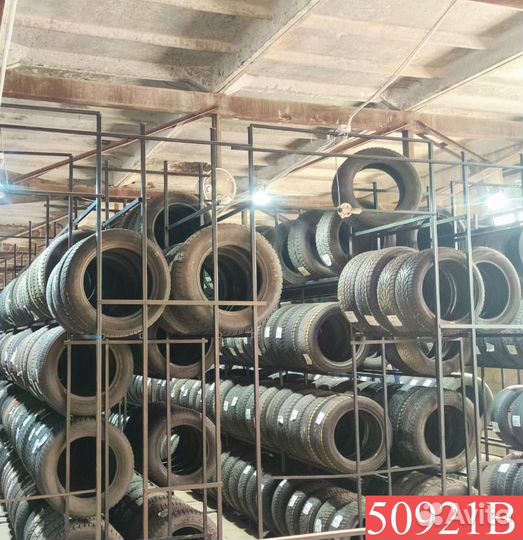 Zeta Antarctica Ice 195/55 R16 88N