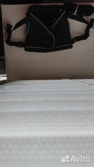 Комплект - жилет и поводок