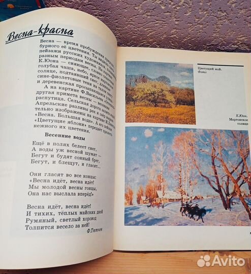 Книга для начинающих художников