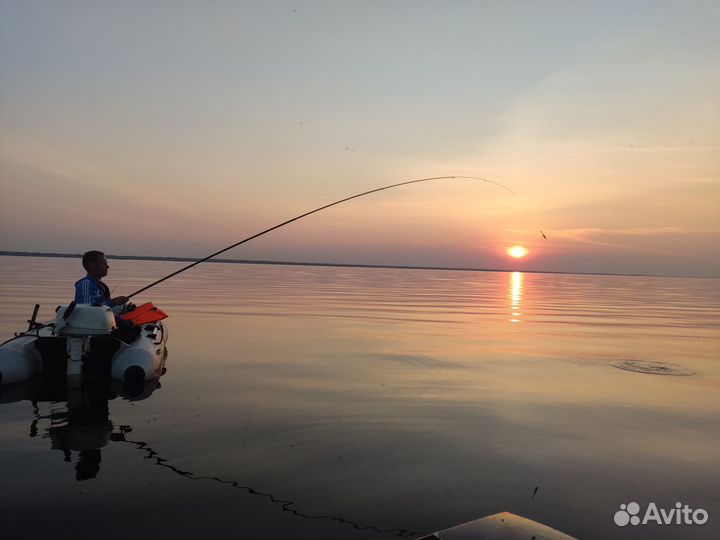 Доставка на рыбалку в Новой Ладоге