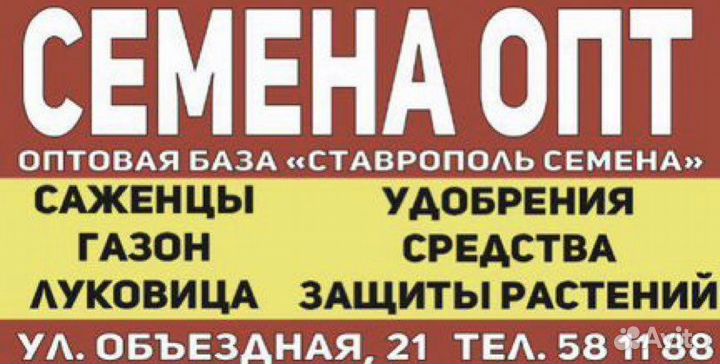 Семена пакетирование оптом