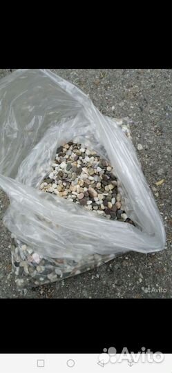 Аквариумное оборудование, грунт, растения, корм