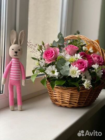 Новый зайка