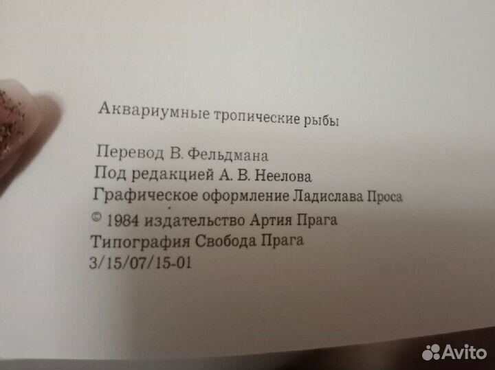 Аквариумные тропические рыбы