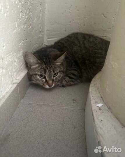 Ей очень страшно