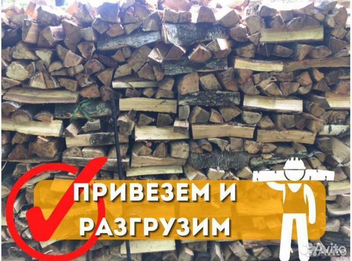 Дрова колотые береза
