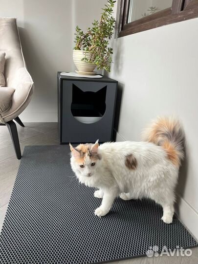 Кошачий лоток Закрытый