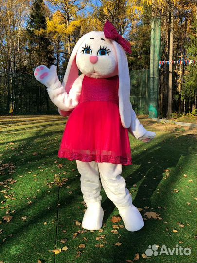 Ростовая кукла Поздравление от зайки