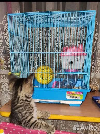 Клетка для грызунов