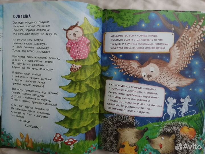 Детская книга 