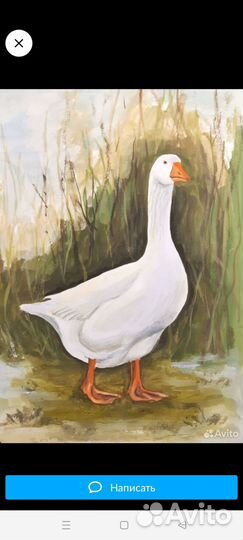 Портрет питомца на холсте маслом