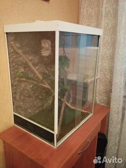 Террариум для рептилий