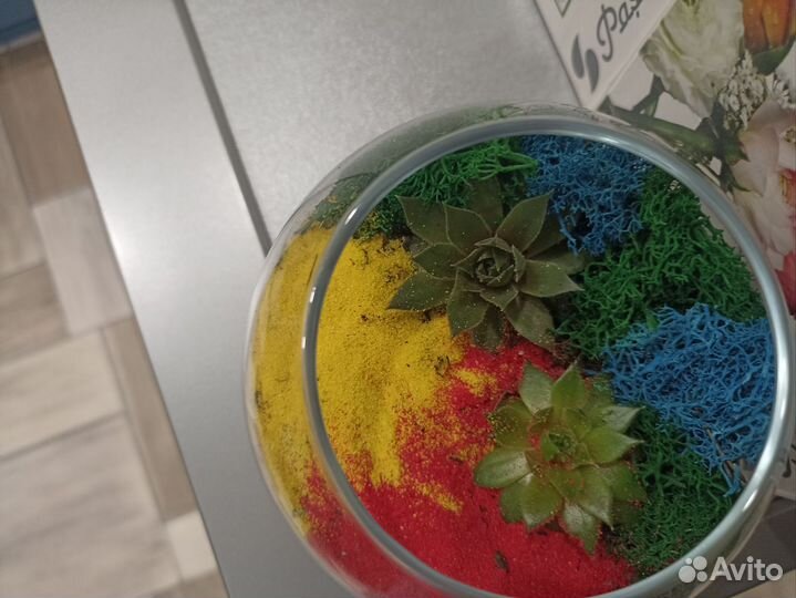 Готовый Флорариум