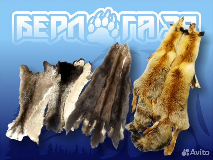 Выделка камусов и шкур