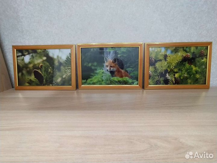 Фото природы в рамке