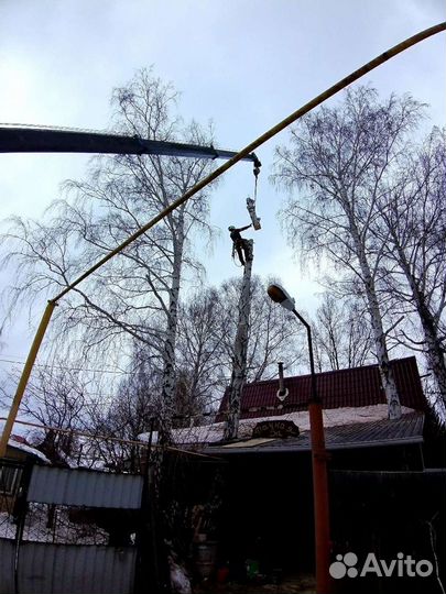 Спил деревьев. Обрезка веток