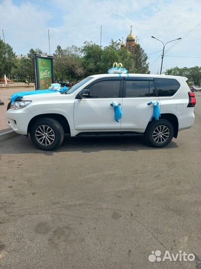 Трансфер, аренда авто