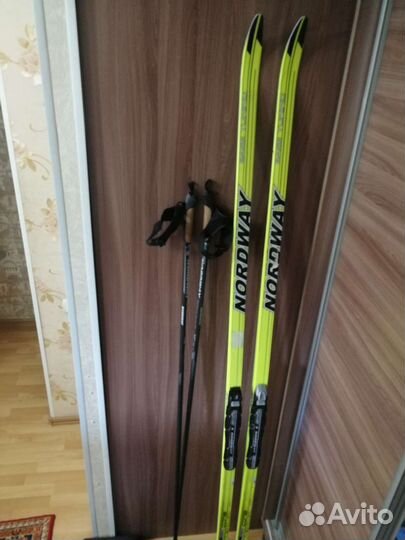 Беговые лыжи