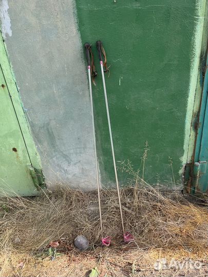 Лыжные палки