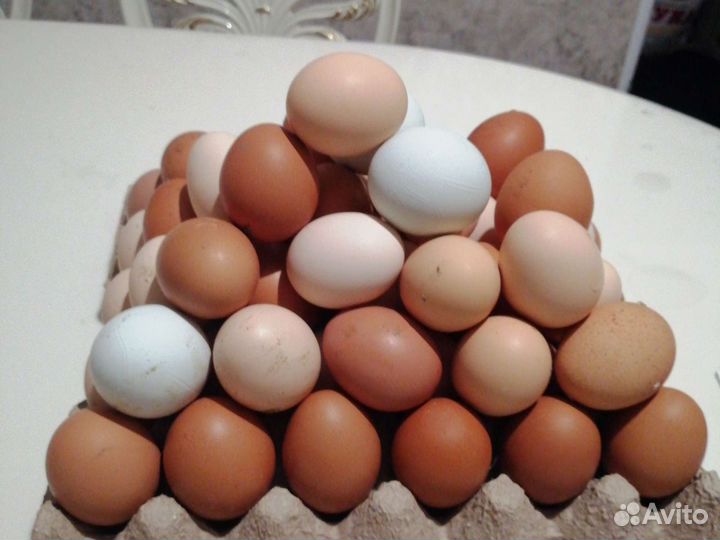 Домашние куриные яйца с доставкой