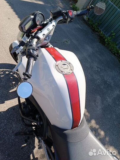 Yamaha FZ6N