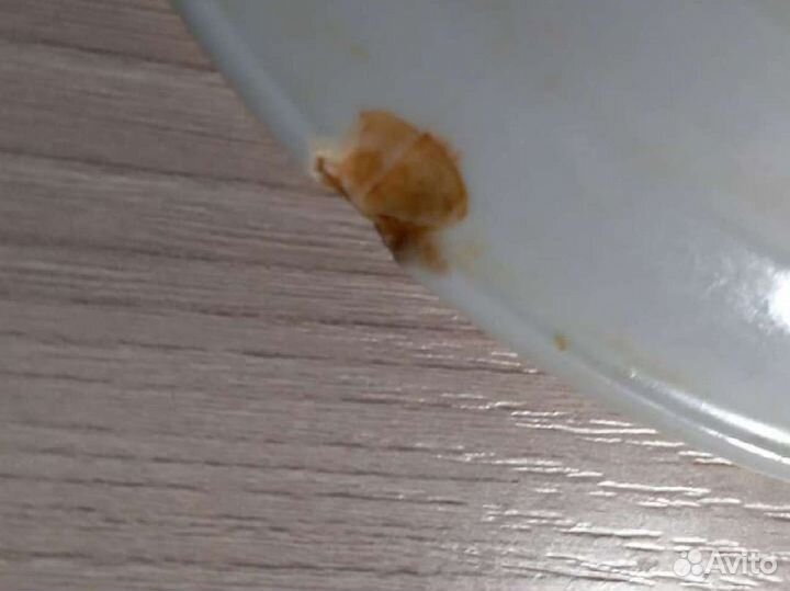 Тарелки, ретро,ресторан, общепит, дулево