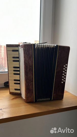 Аккордеон