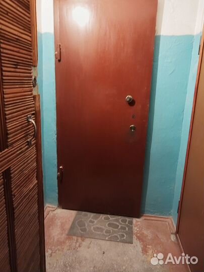 Входная железная дверь