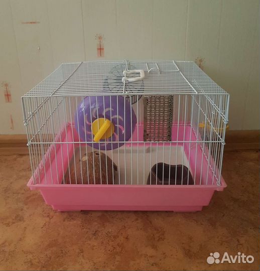 Клетка