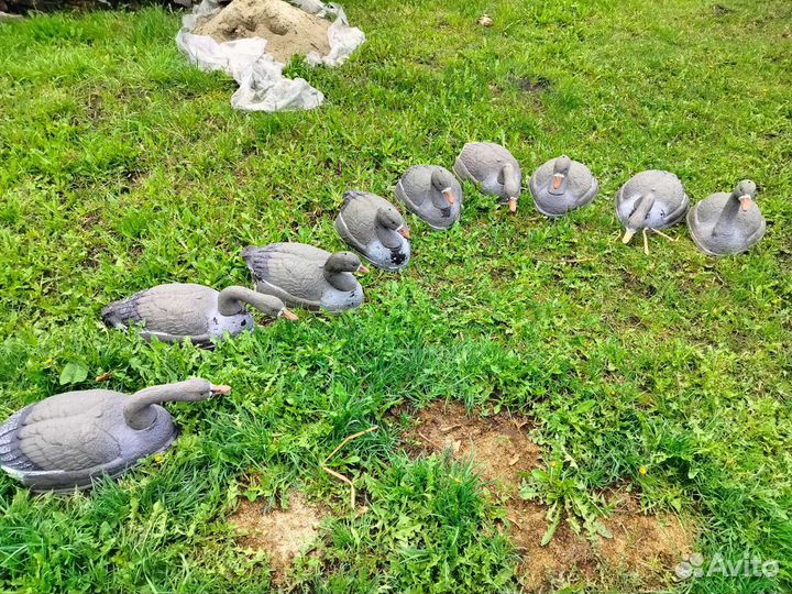 Чучела гусиные