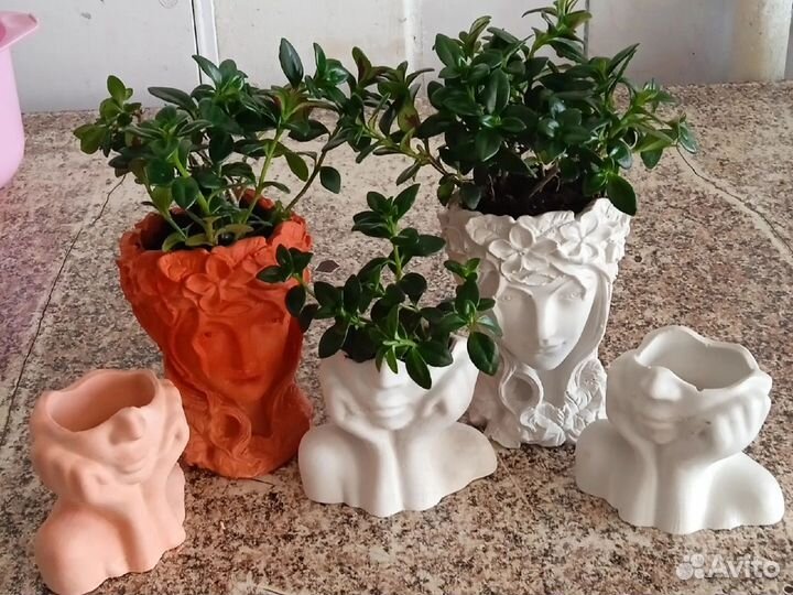 Кашпо для цветов и гипса