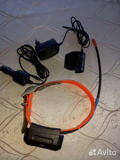 Ошейник для собак Гармин Д40 американская версия