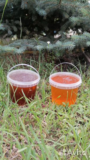 Мед башкирский