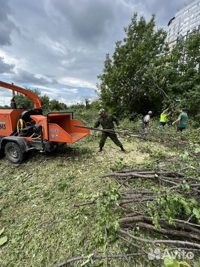 Измельчитель Веток, Дробилка в аренду