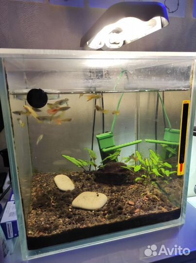 Аквариум