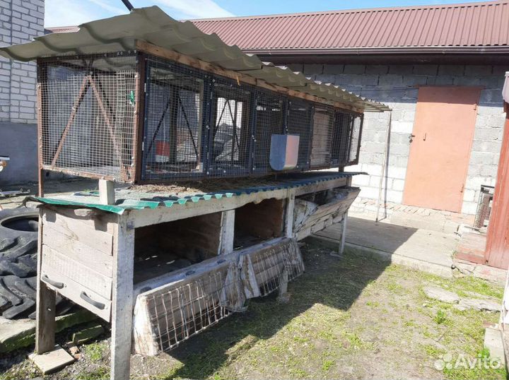 Крольчатник с родильней