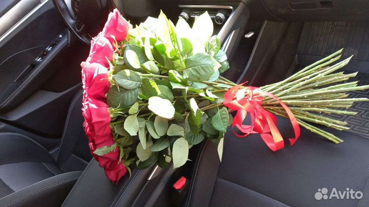 Розы свежие красивые 