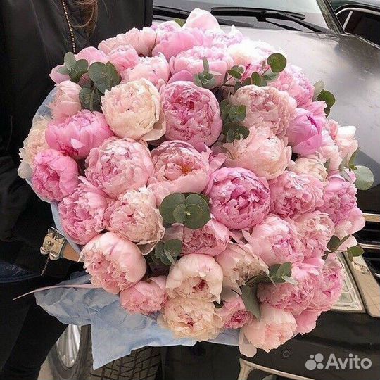 Цветы пионы с доставкой