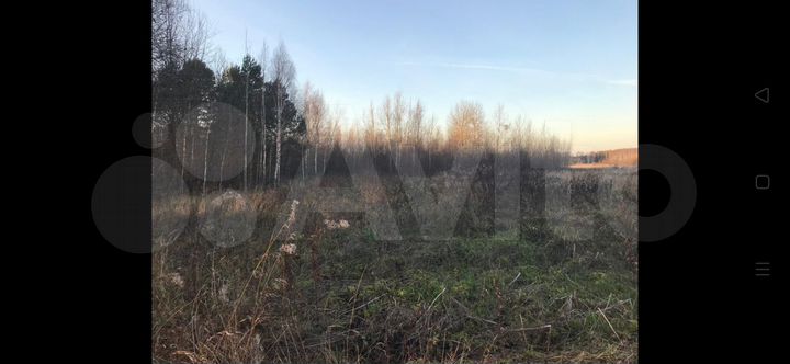 Участок 50 сот. (СНТ, ДНП)