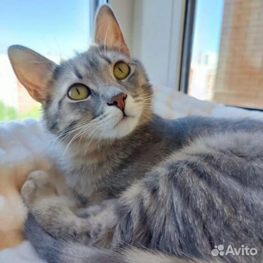 Серенькую Барселону никто не замечает